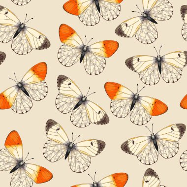 Yüksek detaylı canlı kelebekli vektör deseni