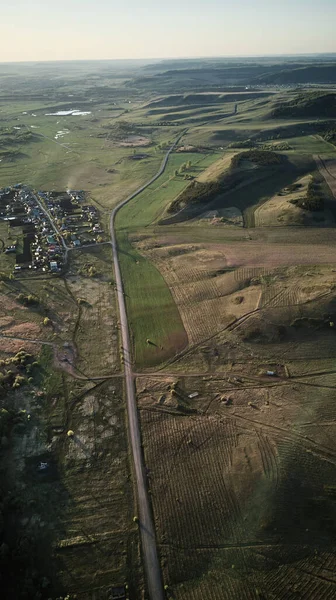 Mavi gökyüzünün arka planına karşı orman yolu