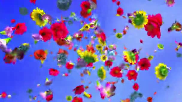 Une Explosion De Fleurs Colorées En 4k