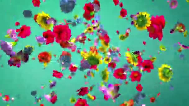 Explodierende Bunte Blumen — Stockvideo