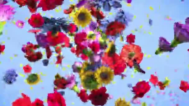 Πολύχρωμα Λουλούδια Μεγάλο Παρασκήνιο Ανάλυση — Αρχείο Βίντεο