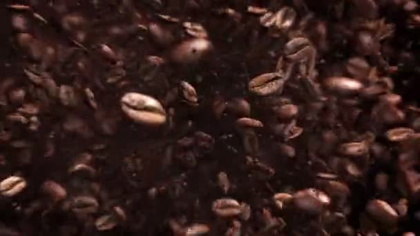 Explodierende Geröstete Kaffeebohnen Hochwertige Explodierende Kaffeebohnen — Stockvideo