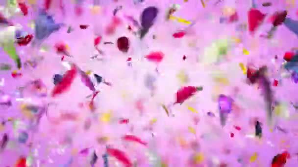 Explosion Des Pétales De Fleurs En 4k Animation De Haute Qualité Dexploser Les Pétales De Fleurs En 4k