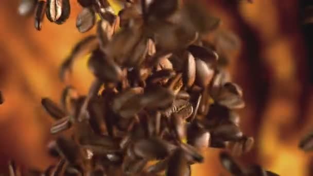 コーヒー豆がフライに当たる — ストック動画