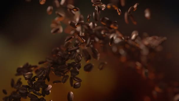 Coffee Beans Hit Fly — Stock Video