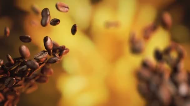 Coffee Beans Hit Fly — Stock Video