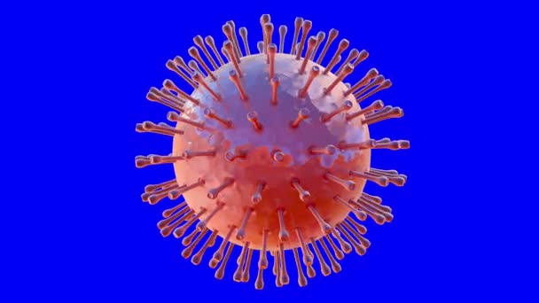 Corona Virus Animazione Loop Con Sfondo Chiave Cromatica — Video Stock