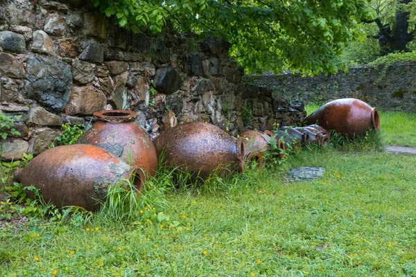 Ruinele Academiei Ikalto Vechea Mănăstire Ikalto Din Kakheti Vechiul Qvevri — Fotografie, imagine de stoc