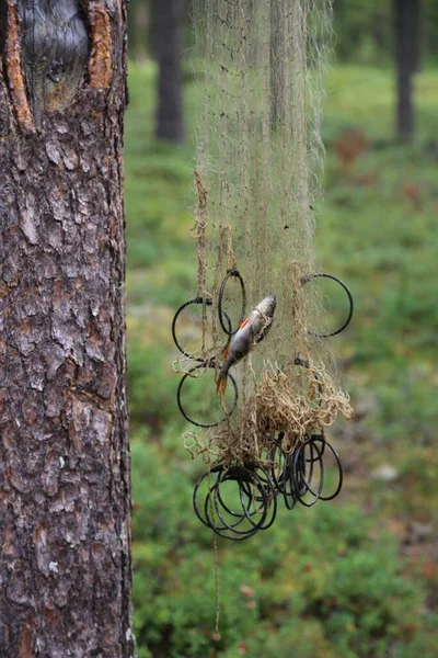 Vis Het Visnet — Stockfoto