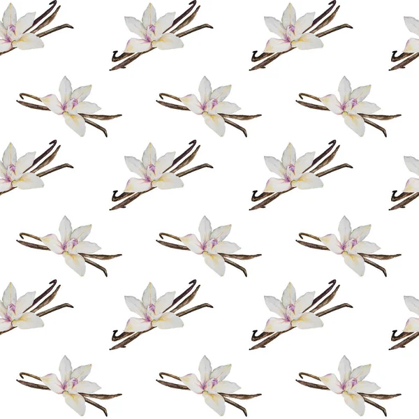 Aquarela sem costura padrão de flores de baunilha e vagens — Fotografia de Stock
