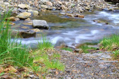 Polonyalı dağlarda bir dere. 