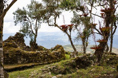Kuelap ya da Cuelap, Peru 'nun Amazonas bölgesinin güneyindeki Mara ve Trigo kasabalarının yakınlarındaki dağlarda bulunan bir yerleşim yeridir. Chachapoyas kültürü tarafından inşa edildi..
