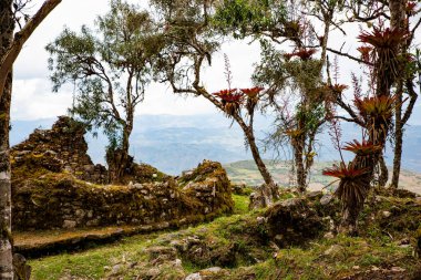 Kuelap ya da Cuelap, Peru 'nun Amazonas bölgesinin güneyindeki Mara ve Trigo kasabalarının yakınlarındaki dağlarda bulunan bir yerleşim yeridir. Chachapoyas kültürü tarafından inşa edildi..