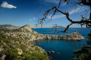 Mavi ve yeşil: gökyüzü, deniz ve ağaçlar 