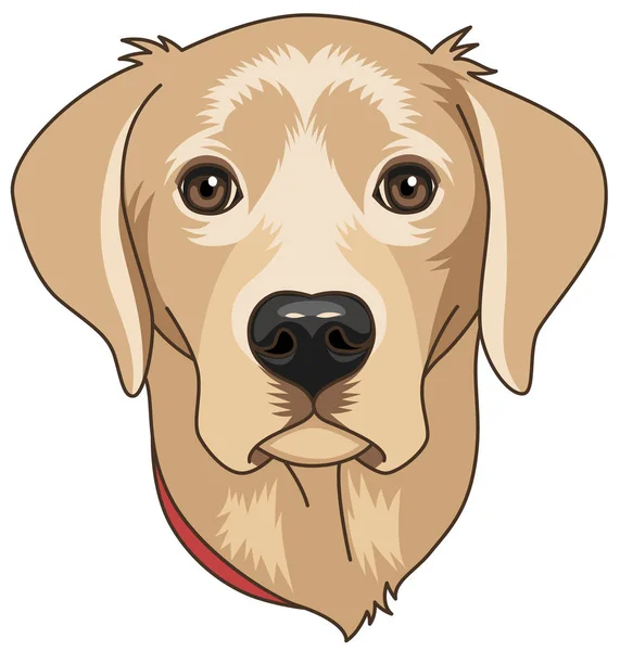 Chef För Beige Cartoony Labrador Isolerad Vit Bakgrund Hund Symbol — Stock vektor