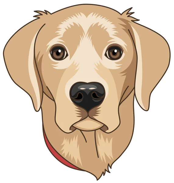 Hoofd Van Beige Cartoony Labrador Geïsoleerd Een Witte Achtergrond Hond — Stockvector