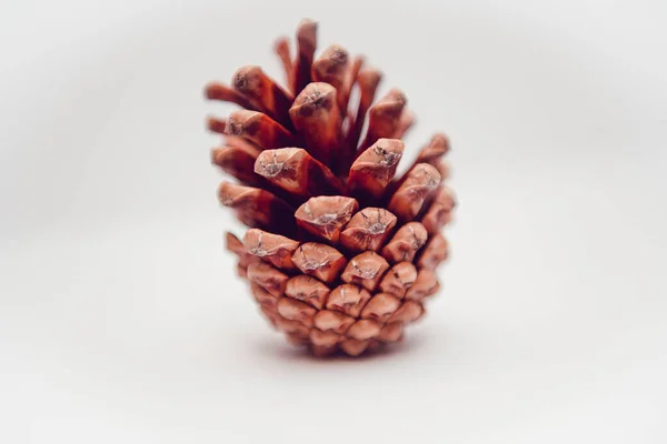 Pine Cone Απομονωμένο Λευκό Κοντινό Πλάνο Της Διακόσμησης Για Χριστούγεννα — Φωτογραφία Αρχείου