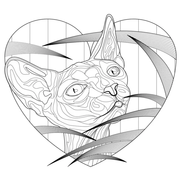 Coloriages Sphynx Chat Pour Adultes Animaux Compagnie Décoration Ligne Art — Image vectorielle