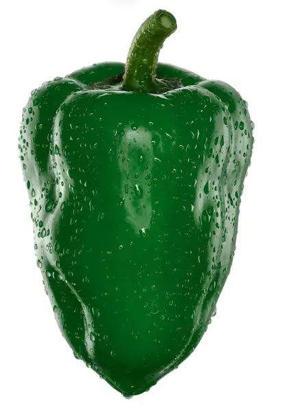 Pimiento Verde Sobre Fondo Blanco — Stockfoto