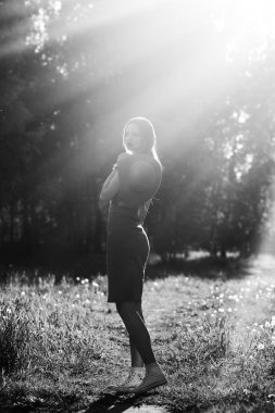 Kız Açık parkta yürüyüş silüeti. Güneşli yaz yaşam tarzı kavramı. Kadın elbise ve şapka dandelions alanı. Metin ışık efekti. Boşaltmak için tasarım. BW fotoğraf.
