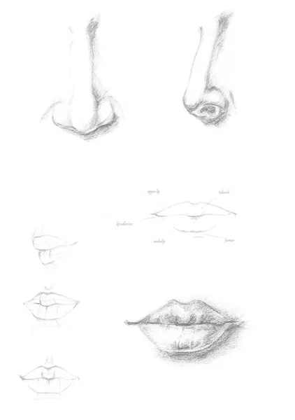 Ilustración de icono de nariz y labios humanos dibujados a mano, dibujo de pincel signo gris, cara original pintada a mano parte aislada sobre fondo blanco. Bosquejo de dibujo académico —  Fotos de Stock