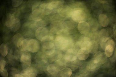 Renkli bokeh arka plan. doğa renkleri soyut bulanık çevrelerde. Boşaltmak için tasarım ve metin.