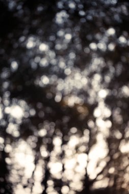 Renkli bokeh arka plan. doğa renkleri soyut bulanık çevrelerde. Boşaltmak için tasarım ve metin.