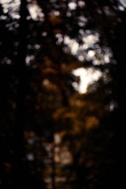 Renkli bokeh arka plan. doğa renkleri soyut bulanık çevrelerde. Boşaltmak için tasarım ve metin.