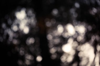 Renkli bokeh arka plan. doğa renkleri soyut bulanık çevrelerde. Boşaltmak için tasarım ve metin.