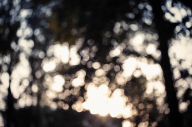 Renkli bokeh arka plan. doğa renkleri soyut bulanık çevrelerde. Boşaltmak için tasarım ve metin.