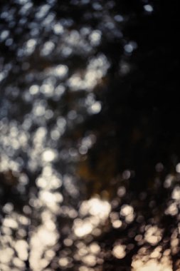 Renkli bokeh arka plan. doğa renkleri soyut bulanık çevrelerde. Boşaltmak için tasarım ve metin.