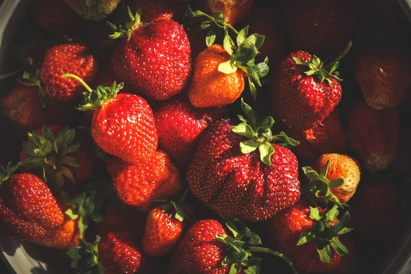 Un mazzo di fragole fresche. Foto di primo piano. Macro fotografia con tonificante vintage — Foto Stock