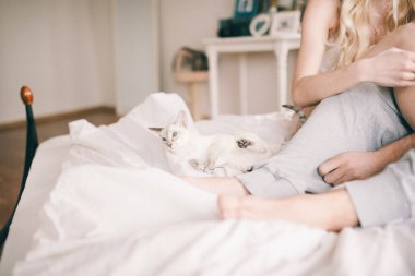 Çift ve kedi yatağı