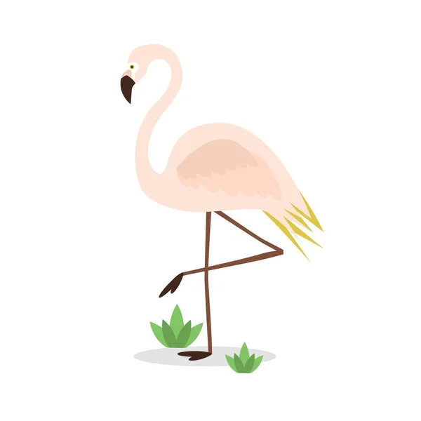 Prachtige abstracte één roze flamingo staande op een been met sommige struiken op witte achtergrond — Stockvector