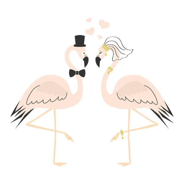Vackra rosa flamingo par bröllop kort på vit bakgrund — Stock vektor