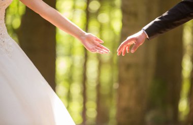Gelin ve damadın elleri güneşli bir arka planda.