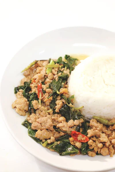 Beyaz arka planda taze pirinçli kızarmış domuz fesleğeni.