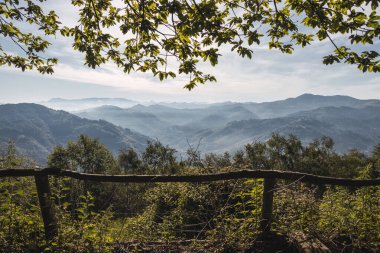 Dallarla, yeşil ağaçlarla ve yapraklarla çerçevelenmiş yüksek dağların ve sisli vadilerin manzarası. Sisli vadileri gezmek ve üzerlerinde yürüyüş yapmak için ideal. İspanya 'nın kuzeyi Asturias.