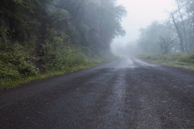Kuzey İspanya 'daki bir dağ yolu bulutlu bir günde çevresini çevreleyen ormanın sisinde kaybolur. Gizem, seyahat ve yürüyüşle ilgili.