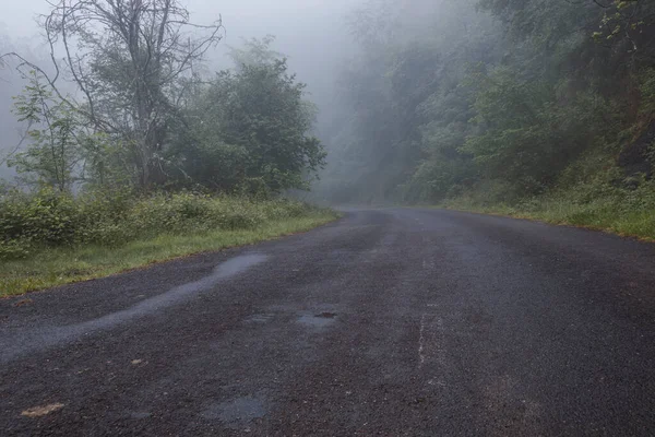 Uma Estrada Montanha Norte Espanha Dia Nublado Perdida Névoa Floresta — Fotografia de Stock