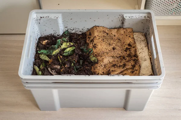 A DIY worm farm composting bin in an apartment — Stock Photo, Image