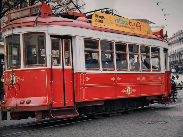 Açık kahverengi kelebek makrosu. Odaklanmamış arka planda siyah gözlü.