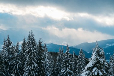 Karpat Dağları kar