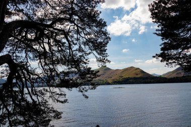 Derwent water with Cat Bells in the Lake District frame by trees.