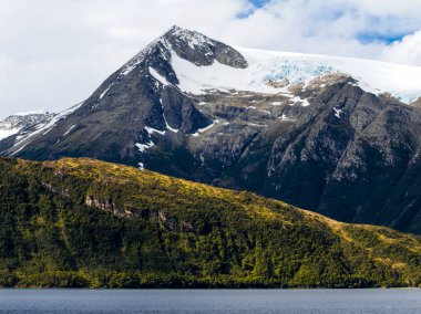 Antarktika 'daki dağ ve çimenler