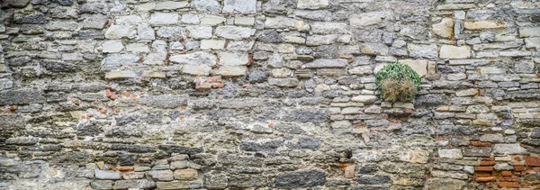 Background Stone Wall — Stock Photo, Image