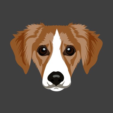 İzole hayvan illüstrasyon