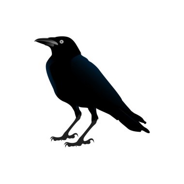 İzole Cadılar Bayramı simgesi