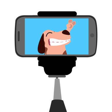 Selfie kavramsal çizimi