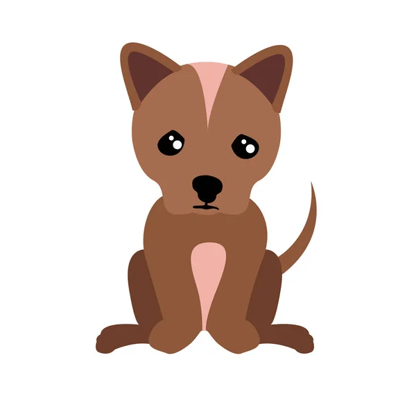 Elszigetelt aranyos kutya — Stock Vector